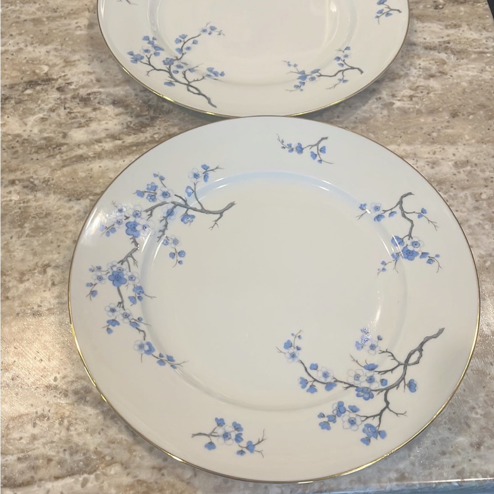 COPY - 2 dinner plates